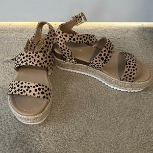 Cheetah platforms
